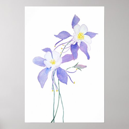  purple wild flower columbine flower watercolor poster