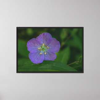 Purple wild flower Stretched Canvas Print
