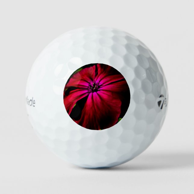 Purple Wild Flower tmtp5 gbcna Golf Balls (Front)