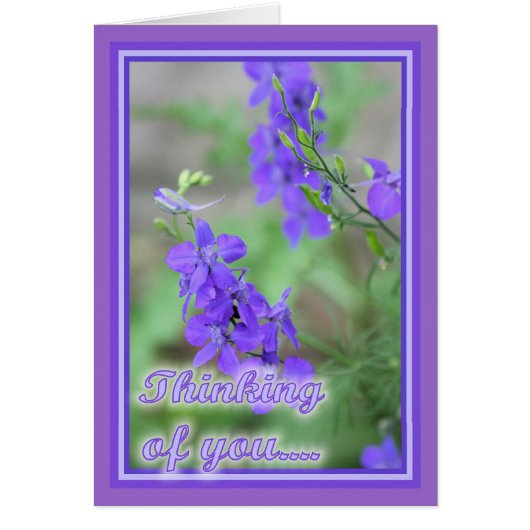 Purple Wild Flowers Cards (Front)