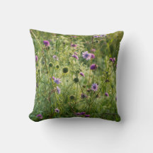 Purple wild flowers in a green meadow