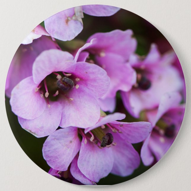 Purple wildflowers button (Front)