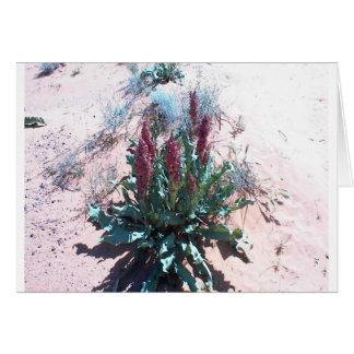 Purple Wildflowers Cards