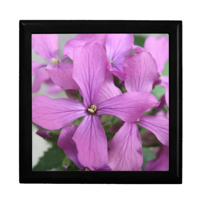 Purple Wildflowers Gift Box (Front)