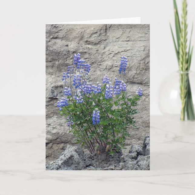 purple wildflowers in stone card (Front)