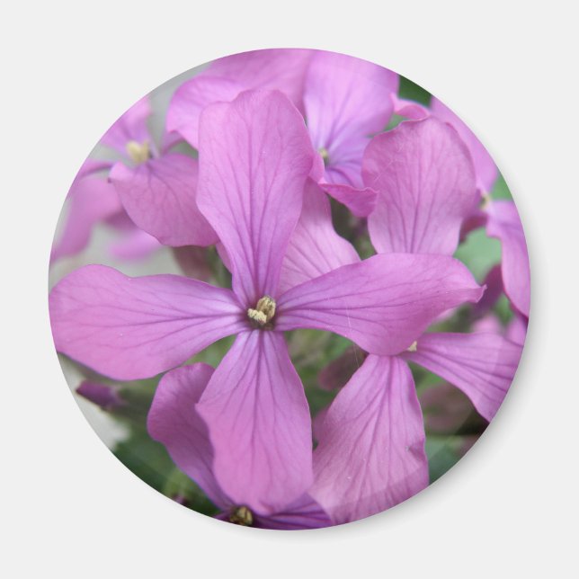 Purple Wildflowers Magnet (Front)