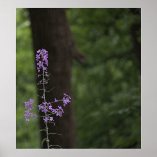 Purple Wildflowers  Poster