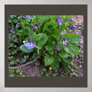Purple Wildflowers Poster