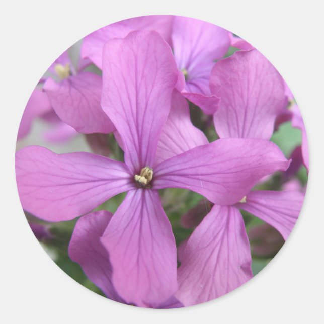 Purple Wildflowers Sticker (Front)