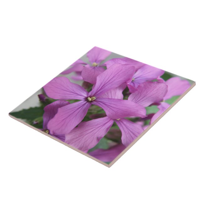 Purple Wildflowers Tile (Side)
