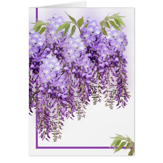 Purple Wisteria Card (Front)