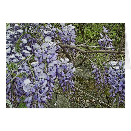 Purple Wisteria Coordinating Items Cards (Front Horizontal)