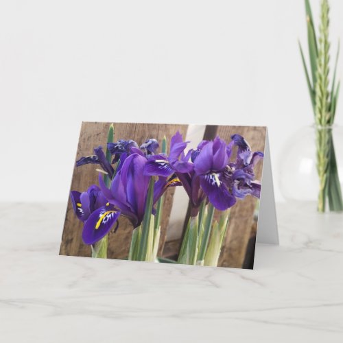 Purple wood iris flowers note card