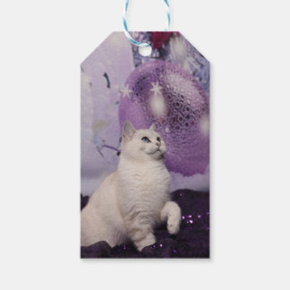 Purple XMAS Cat Gift Tags