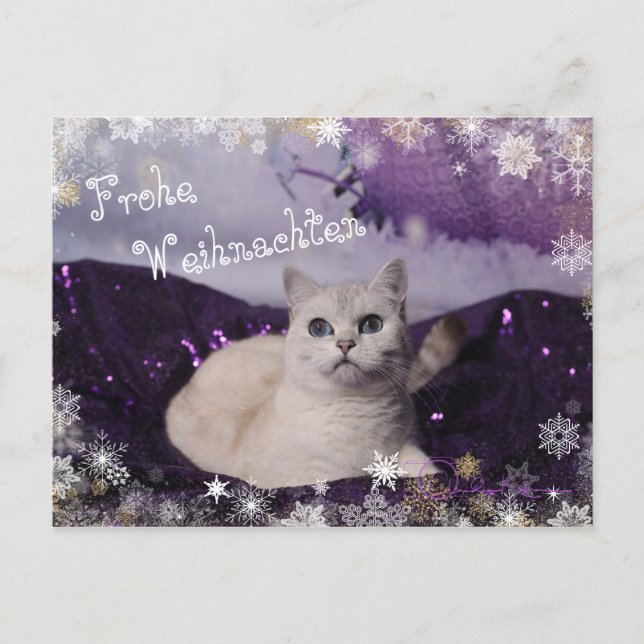 Purple XMAS Cats Holiday Postcard (Front)