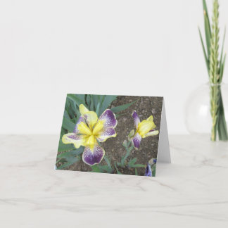 Purple Yellow Iris Pair Small Note Card