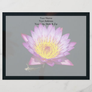 Purple & Yellow Lotus with Dragonfly Nymph Letterhead
