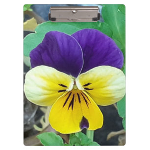 Purple & Yellow Pansy Clipboard