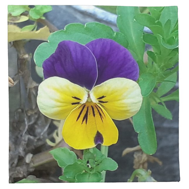Purple & Yellow Pansy Cloth Napkin (Front)