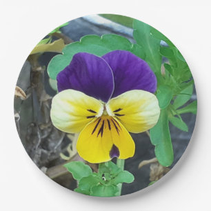 Purple & Yellow Pansy  Paper Plates