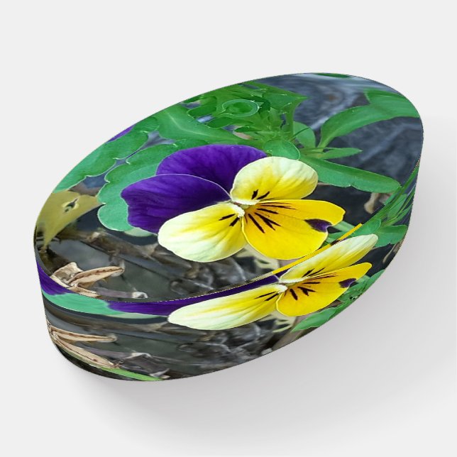 Purple & Yellow Pansy Paperweight (Angled)