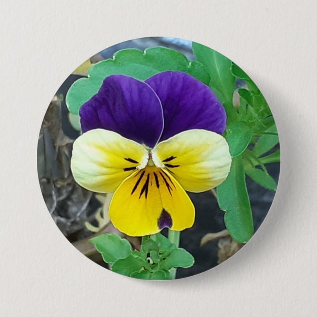 Purple & Yellow Pansy Round Badge Button (Front)