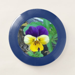 Purple & Yellow Pansy Wham-O Frisbee