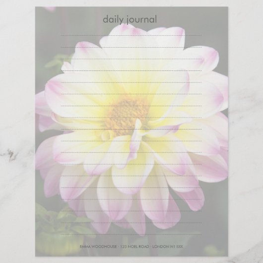Purple, Yellow & White Dahlia (Front)