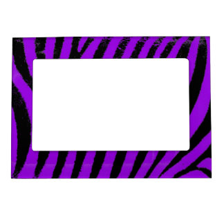 Purple zebra magnetic frame
