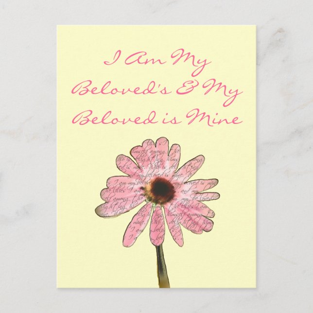 purpleconeflowerbeloved3 postcard (Front)