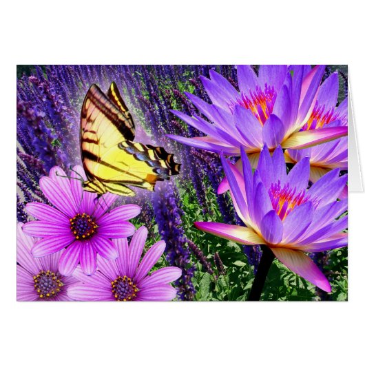 Purples In Nature Cards (Front Horizontal)