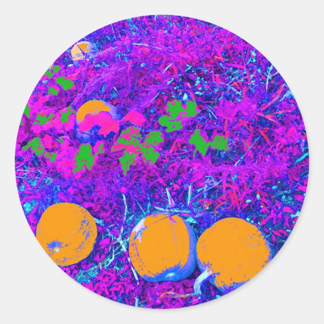 Purplish Pumpkin Field in Pop Art Style Classic Round Sticker (Front)