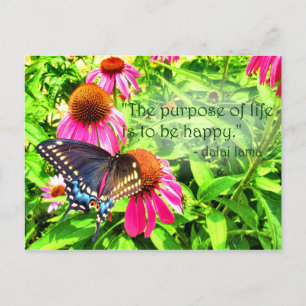 Purpose of Life Happy Black Swallowtail Butterfly Postcard