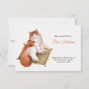 Purr Cat Moving Announcement