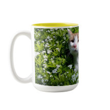 Purr-fect Coffee Cup
