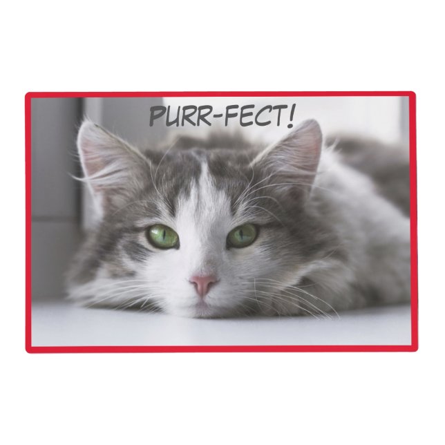 Purr-fect Cute Kittens Placemat (Front)