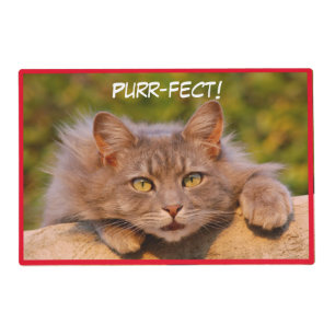 Purr-fect Cute Kittens Placemat