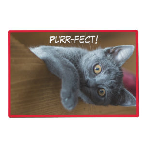 Purr-fect Cute Kittens Placemat