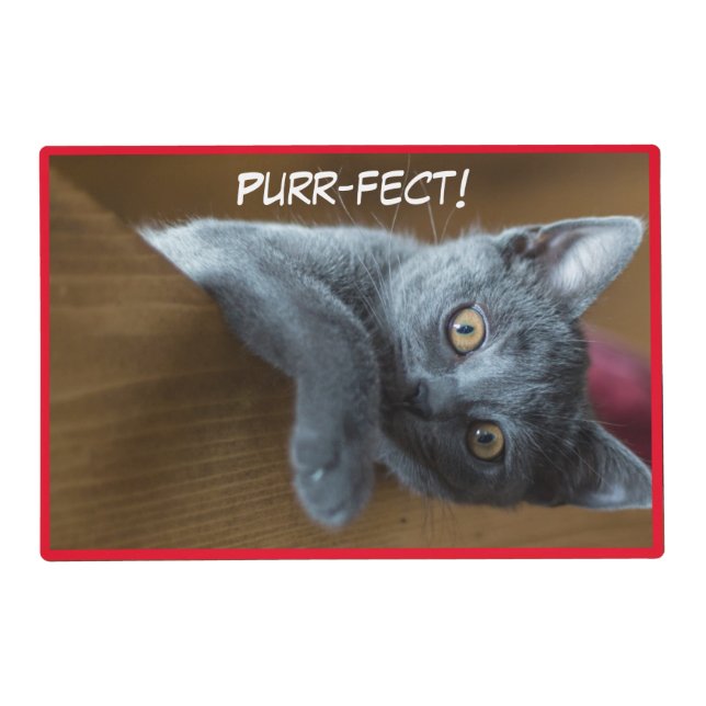 Purr-fect Cute Kittens Placemat (Front)