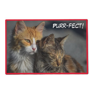 Purr-fect Cute Kittens Placemat