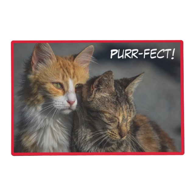 Purr-fect Cute Kittens Placemat (Front)
