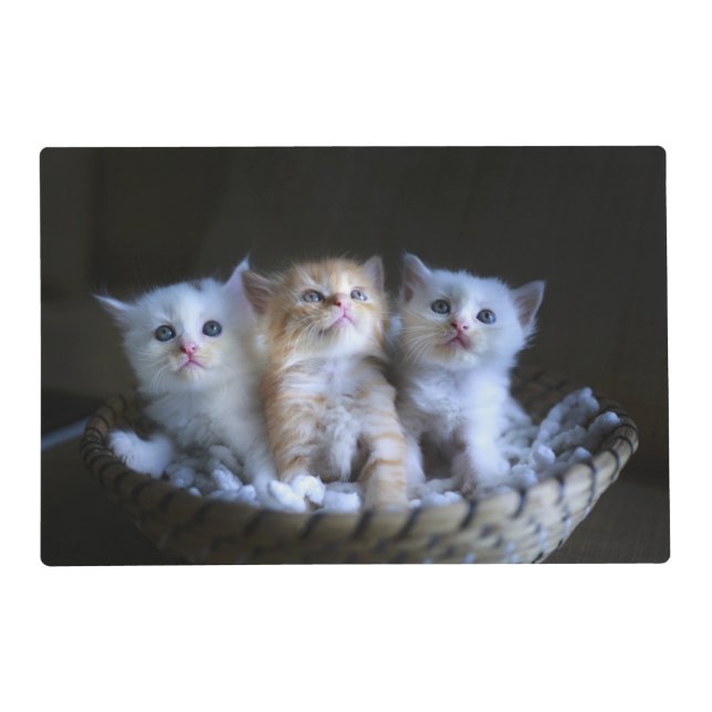 Purr-fect Cute Kittens Placemat (Front)
