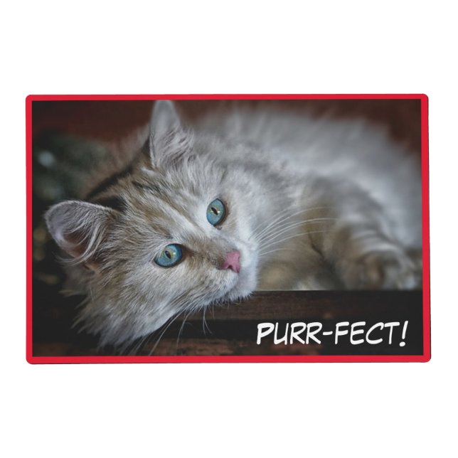 Purr-fect Cute Kittens Placemat (Front)