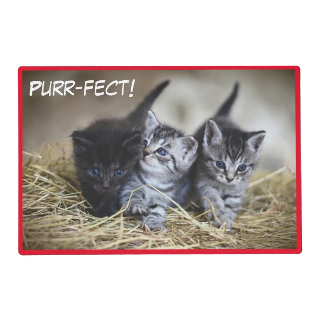 Purr-fect Cute Kittens Placemat (Front)