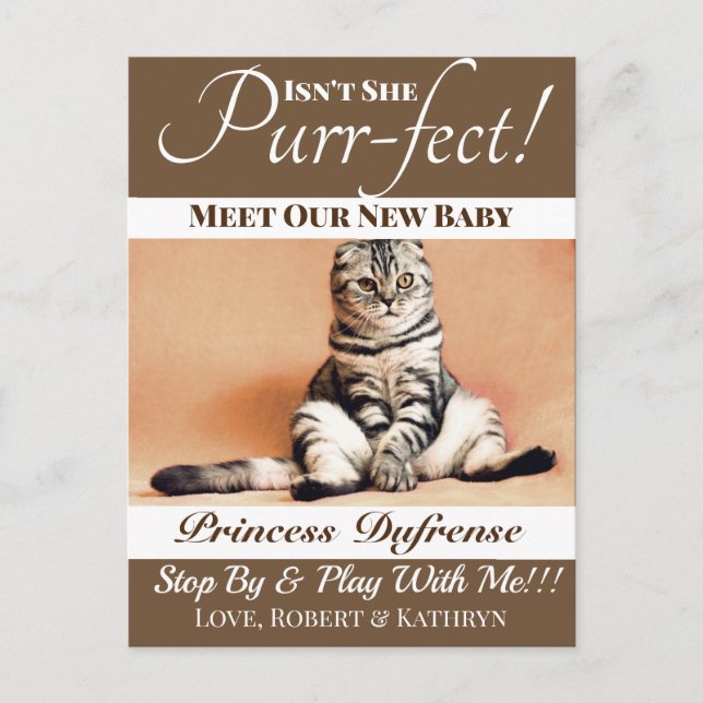 "Purr-fect" New Cat Announcement Brown Postcard (Front)