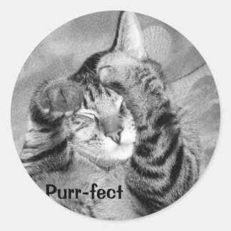 Purr-fect sticker