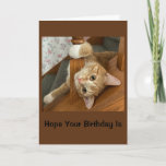 Purr-fectly Happy Birthday Card at Zazzle