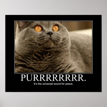 Purr Is The Universal Sound For Peace Artwork Poster by artisticcats at Zazzle