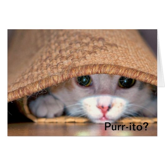 Purr-ito Loco (Front Horizontal)