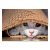 Purr-ito Loco Cards (Front Horizontal)